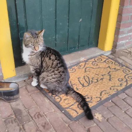 Appartement Hoeve Polsdonk Oirschot Bagian luar foto