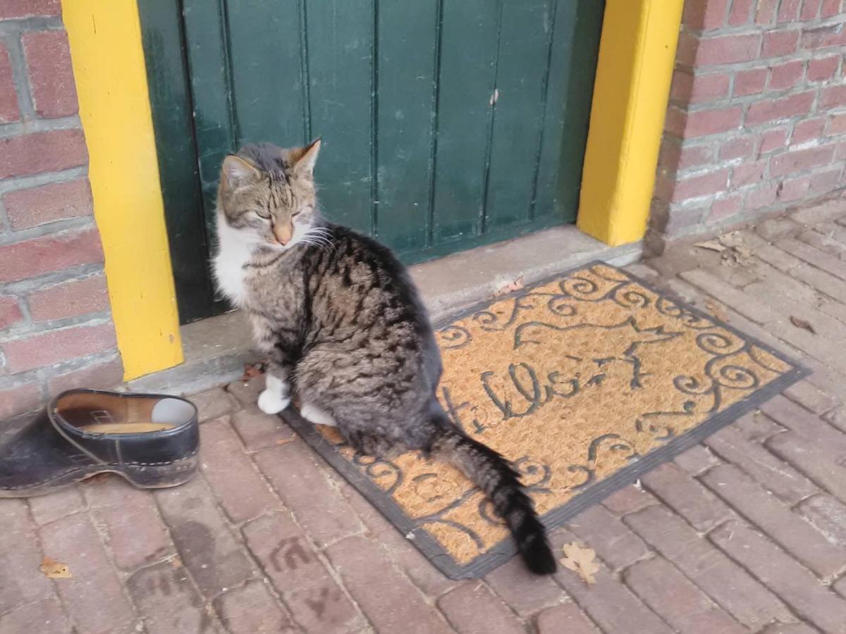 Appartement Hoeve Polsdonk Oirschot Bagian luar foto
